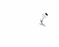 /album/art-i-have-done-3/a26c4598f-jpg/